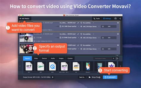 Completely update of the superior Movavi Video Conversion 19.1 Portable